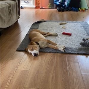 Meet your Posher, Andrea